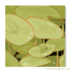 Froggy Hollow Art Print | Elaine Girls