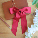 Sweetheart Bow Hairclip | Ruby